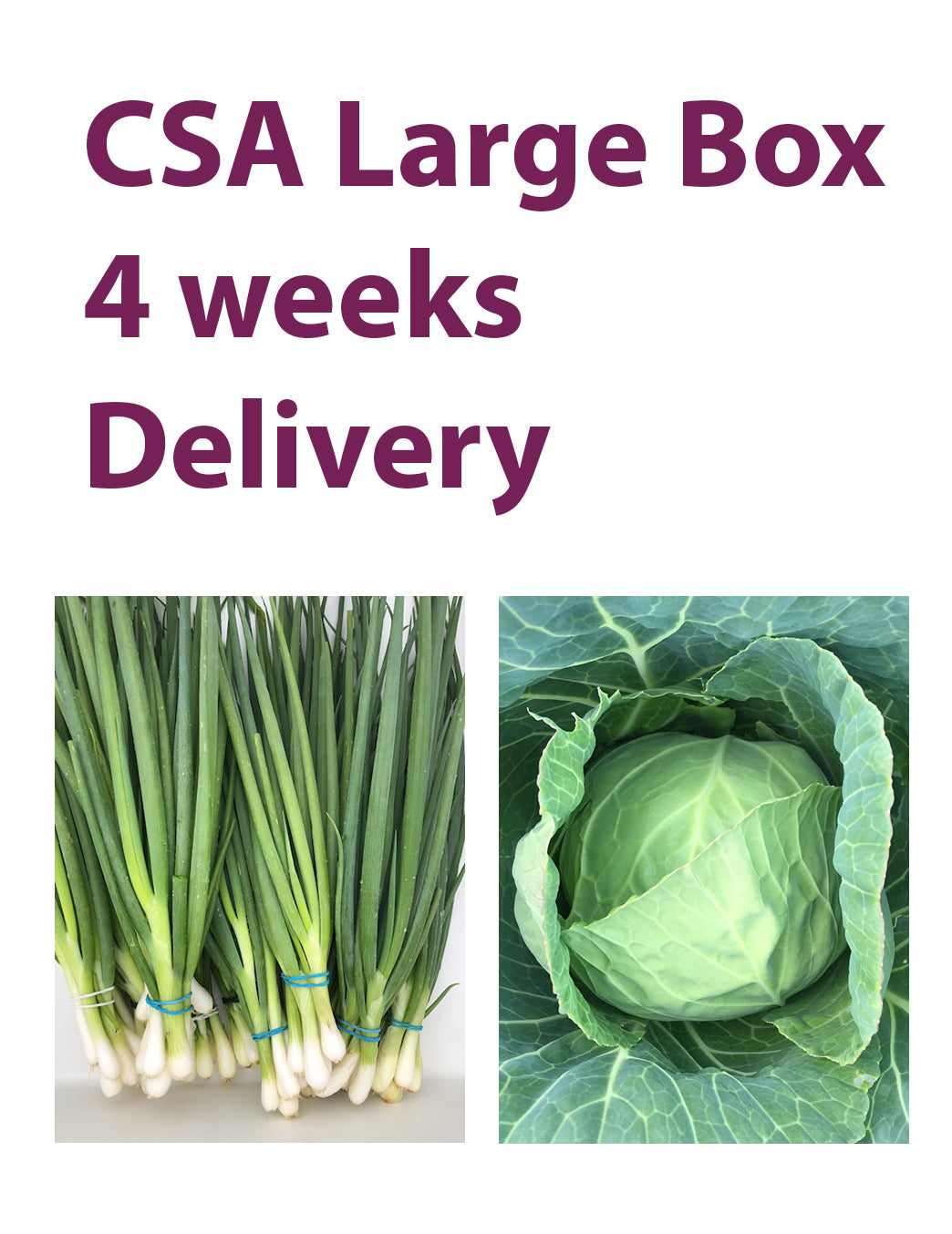 CSA Large Box, 4 Weeks, Delivery