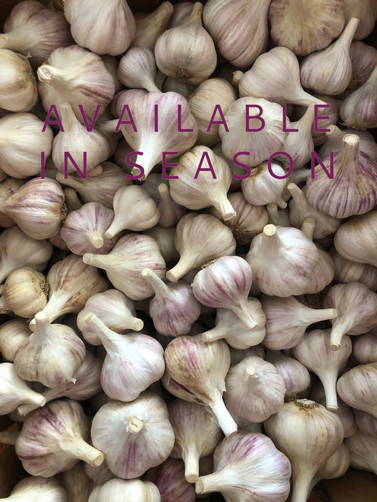 Jachlo garlic, 1 lb