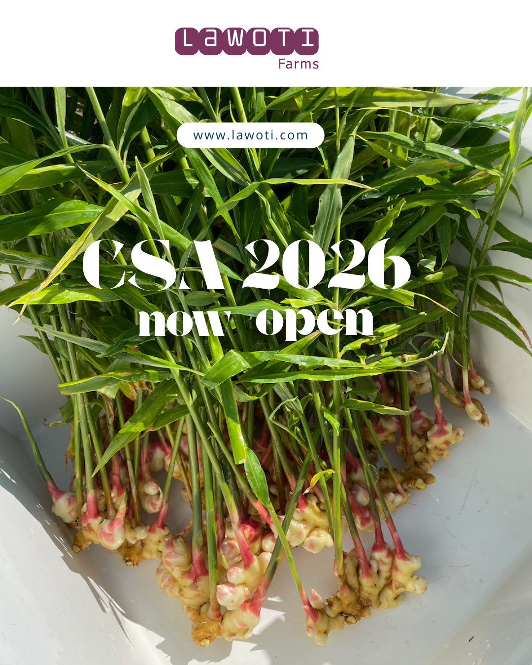 CSA 2026 Launched