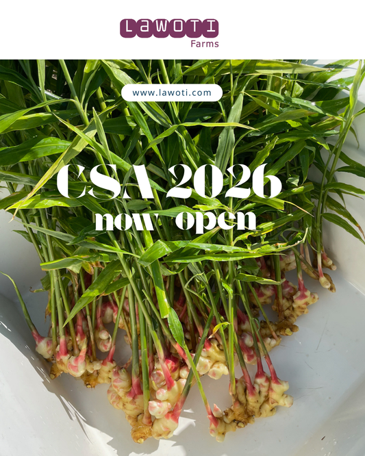CSA 2026 Launched
