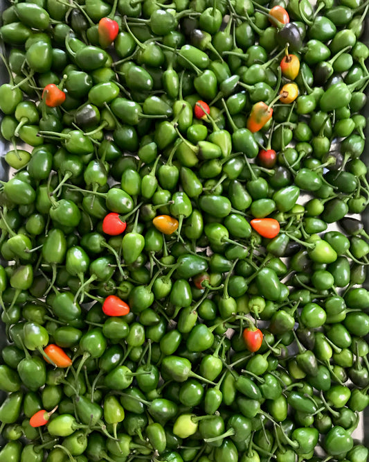 Fresh Green Dalle Peppers, 1 kg