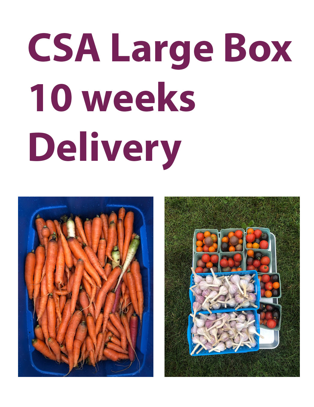 CSA Large Box, 10 Weeks, Delivery