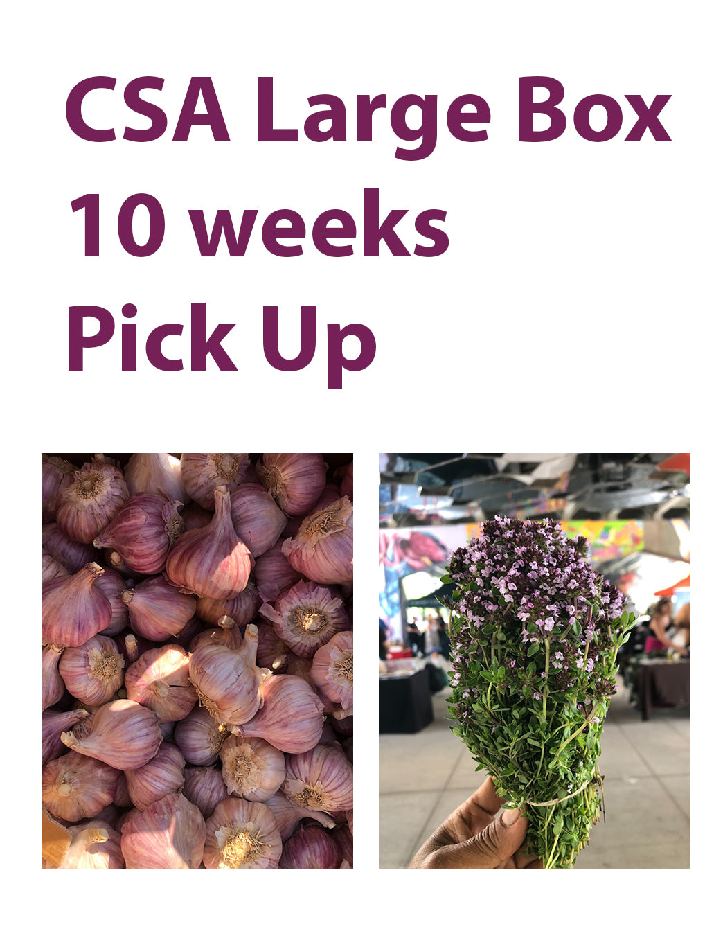 CSA Large Box, 10 Weeks, Pick Up