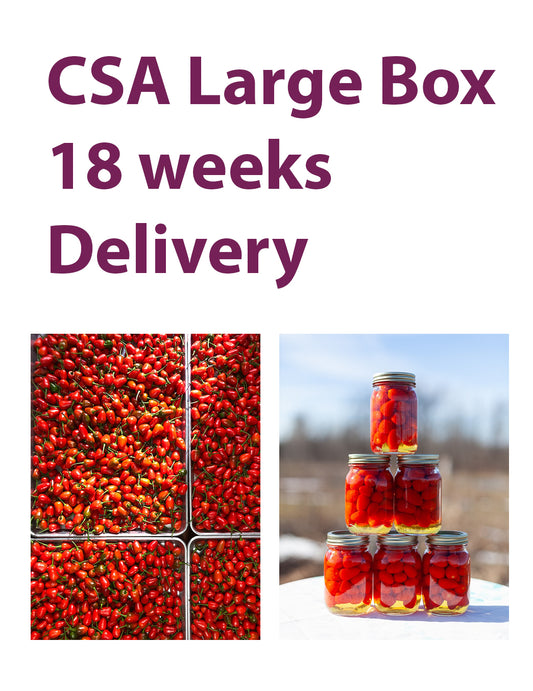 CSA Large Box, 18 Weeks, Delivery