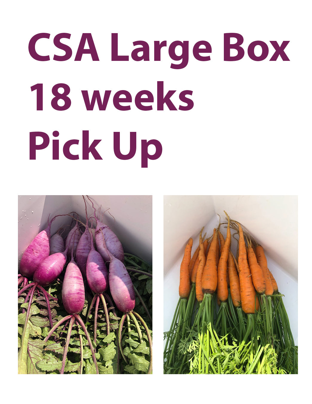 CSA Large Box, 18 Weeks, Pick Up