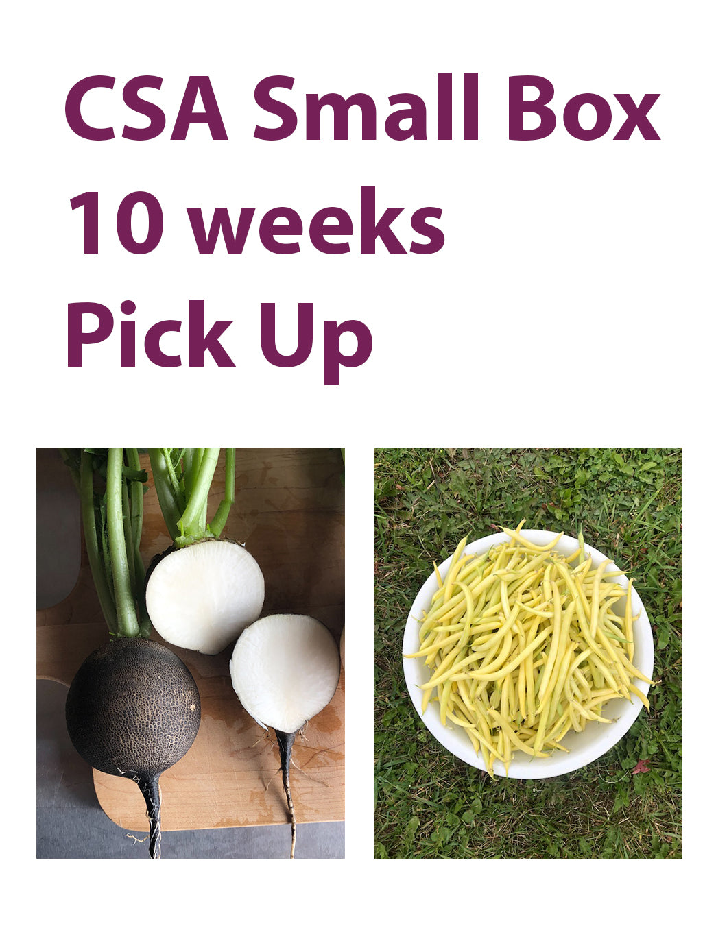 CSA Small Box, 10 weeks, Pick Up