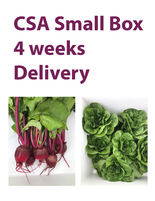 CSA Small Box, 4 Weeks, Delivery