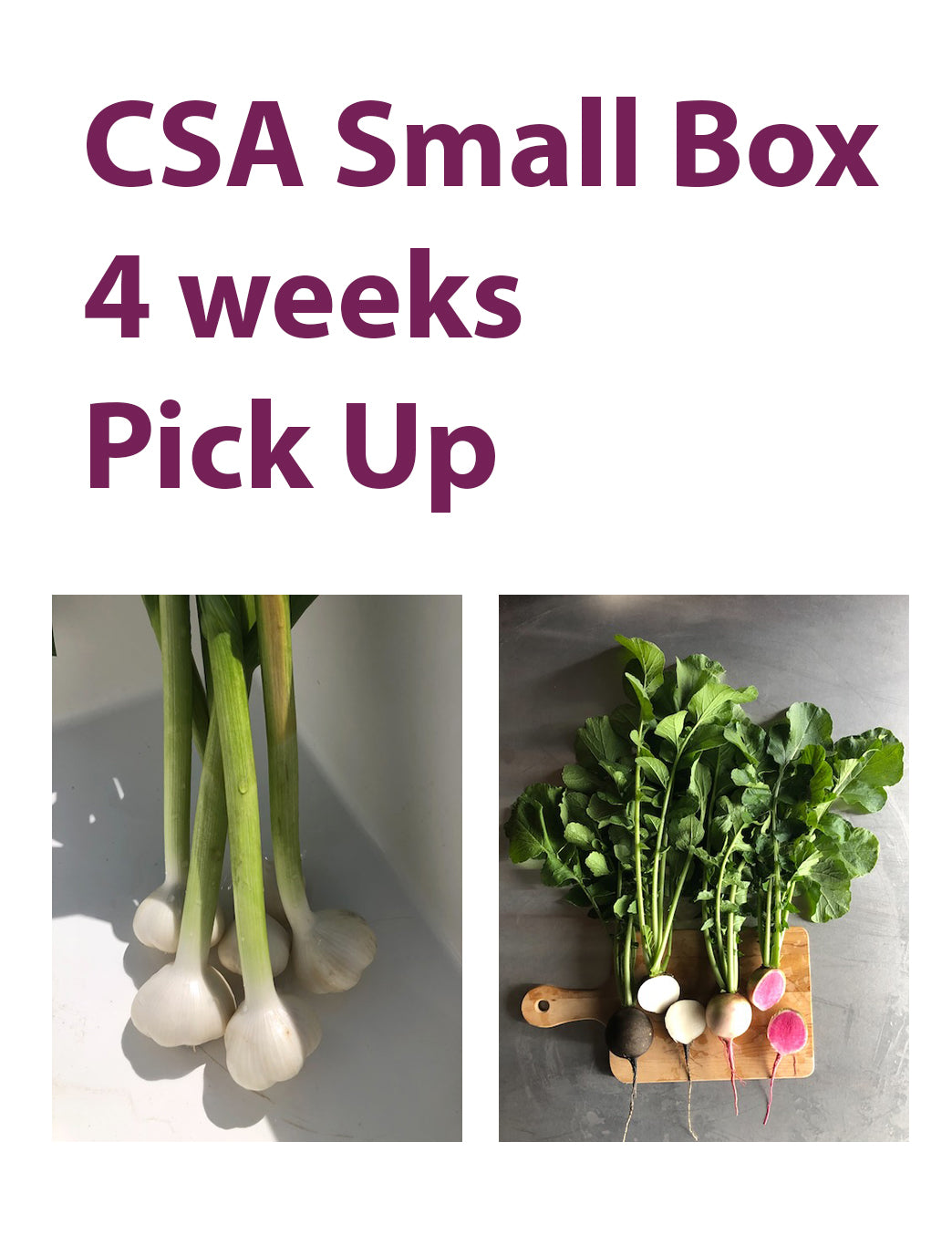 CSA Small Box, 4 weeks, Pickup